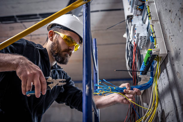 Best Electric Panel Repair  in Rib Mountain, WI